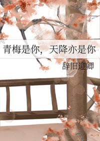 青梅是你，天降亦是你